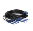 Gecko in.lu.me Spyder cable 6 LEDs (152.4cm)