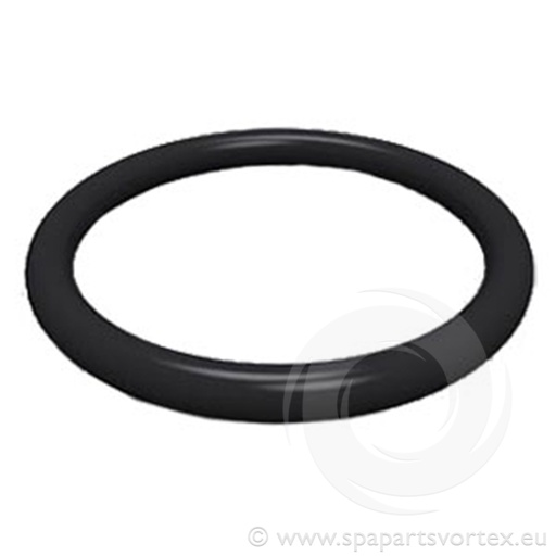 [PL-10179] 1 inch Union O-Ring